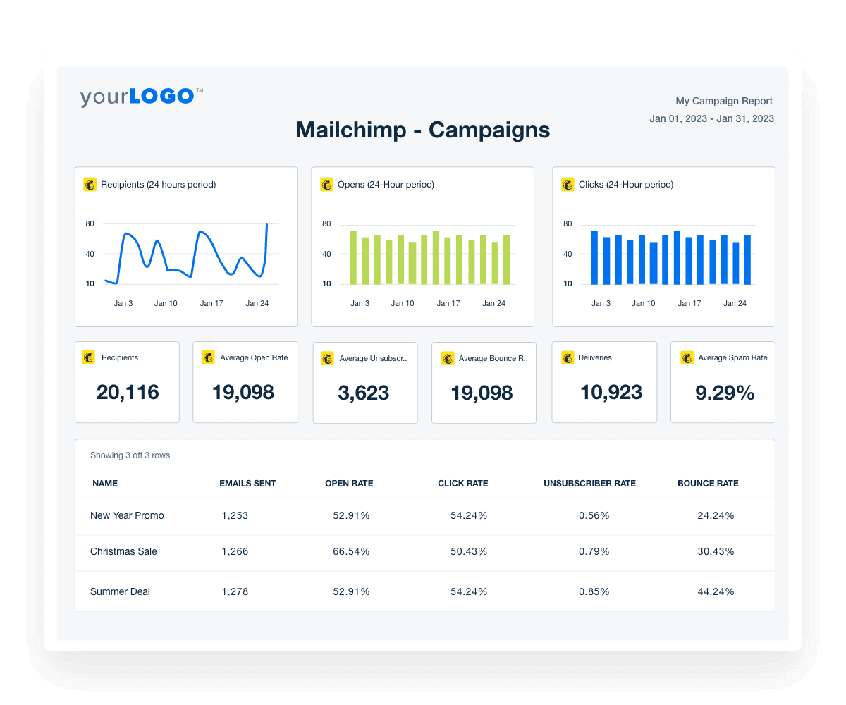 A screenshot of a customized email campaign report